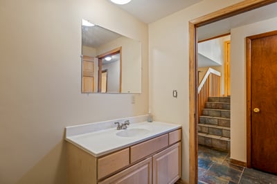 Lower Level Updated Bathroom