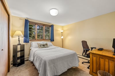 Lower Level Bedroom