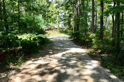 Discover a secluded wooded pathway leading to potential home sites, offering privacy and natural beauty.