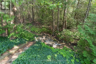 30725 HOCKLEY ROAD, Mono, ON