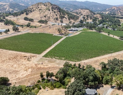 Moskowite Estate | Commercial Development Project | Offered at $75,000,000, napa, CA