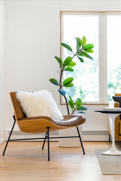 Living room 1