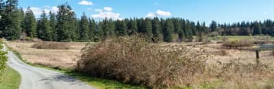 4320 Barbara Lane, Clinton, WA