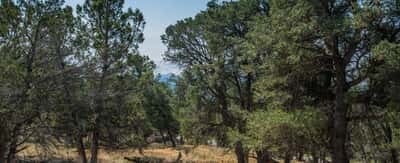 103 County Road, Lot 13, Carbondale, CO