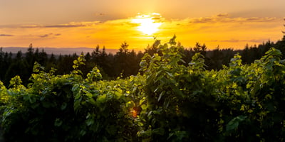 21510 S Wisteria Road, West Linn, OR