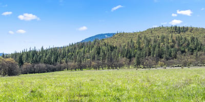 Buckhorn Road #1000, Ashland, OR