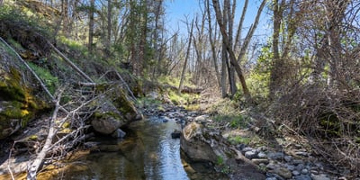 Buckhorn Road #1000, Ashland, OR