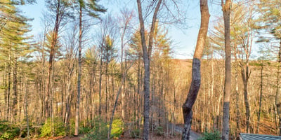 138 Lucius Lane, Cherry Log, GA