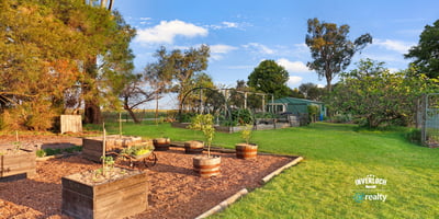 Spacious outdoor area featuring raised garden beds and scenic views, ideal for gardening enthusiasts and outdoor living.