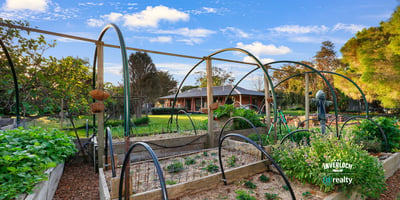 Lush vegetable garden with arched trellises, offering a unique outdoor oasis for gardening enthusiasts.