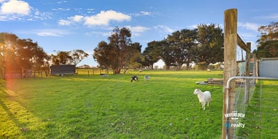Spacious rural property featuring lush green pastures and grazing sheep, perfect for a tranquil lifestyle.