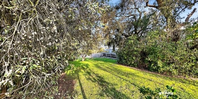 22 Williams Street, Inverloch, VIC
