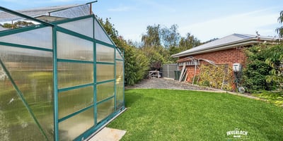 Spacious backyard featuring a functional greenhouse and plenty of room for gardening or outdoor activities.
