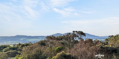 Breathtaking views of rolling hills and lush greenery create a captivating backdrop for your dream home.