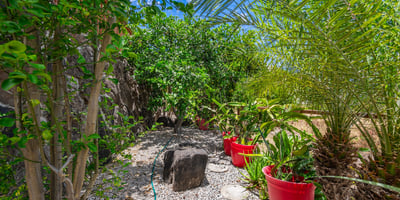 87-1126 Anaha St, Waianae, HI
