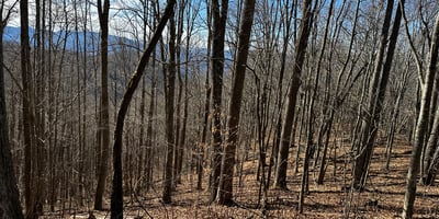 2223 Scarlet Ridge, Sylva, NC