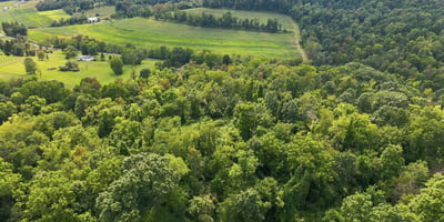 650 Phillis Road, Burgettstown, PA