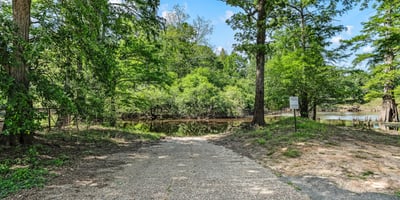 Private boat launch into Dorcheat Bayou, surrounded by lush greenery and tranquil views.