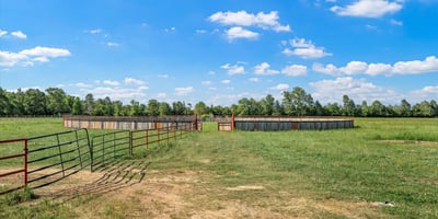 160 Neely Camp Road, Sarepta, LA