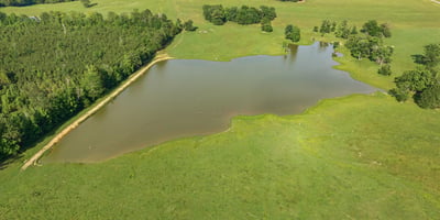 Expansive land featuring a picturesque pond, surrounded by lush greenery and ample space for development.