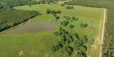 Spacious acreage featuring a picturesque pond, abundant greenery, and endless possibilities for development or leisure.