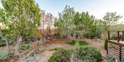 Native shrubs, evergreens, and open ground create a picturesque garden space perfect for relaxing or exploring. A peaceful highlight of Hackberry s rugged beauty.