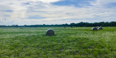 16833 County Road 2200, Lometa, TX