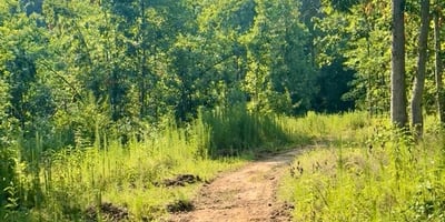 2125 Hwy 247, Belton, SC