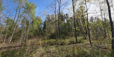 2125 Hwy 247, Belton, SC