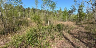 2125 Hwy 247, Belton, SC