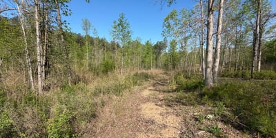 2125 Hwy 247, Belton, SC