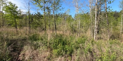 2125 Hwy 247, Belton, SC