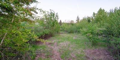 31262 SE Kelso Road, Boring, OR