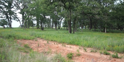Corner Lot 48