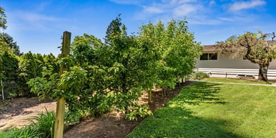 10100 SE Walnut Drive, Happy Valley, OR