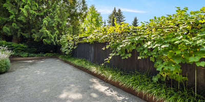 8617 NE 20th Street, Clyde Hill, WA
