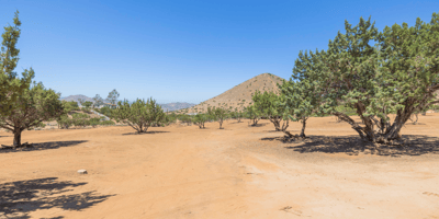 2727 Sache Street, Acton, CA