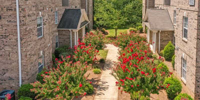 The Phoenix Apartments of Elon, Elon, NC