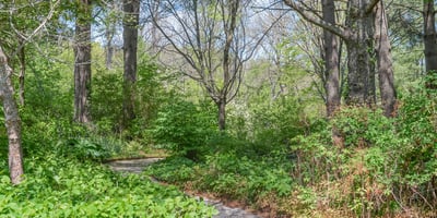 11346 Lorien Court, Frederick, MD
