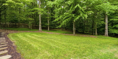 Expansive green yard surrounded by lush trees, perfect for outdoor activities and creating your dream oasis.