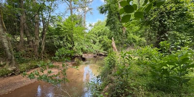 Lush greenery surrounds this peaceful creek, offering a natural retreat and prime opportunity for outdoor activities.