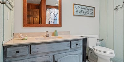 Guest bathroom which has a newer skylight to allow for optimal natural light!
