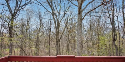 7151 Steeplechase Way, 41, Lansing, MI