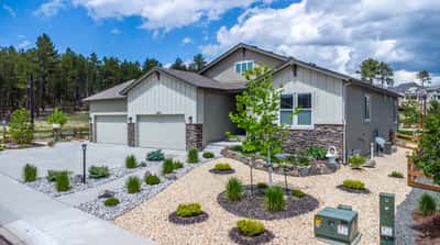 16297 Forest Cloud Way, Monument, CO