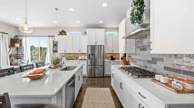16297 Forest Cloud Way, Monument, CO