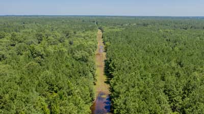 Presswood Lake Tract, Columbia County, AR