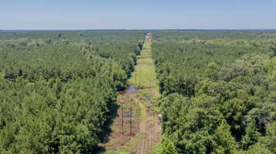 Presswood Lake Tract, Columbia County, AR