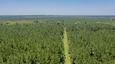 Presswood Lake Tract, Columbia County, AR