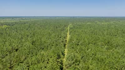 Presswood Lake Tract, Columbia County, AR