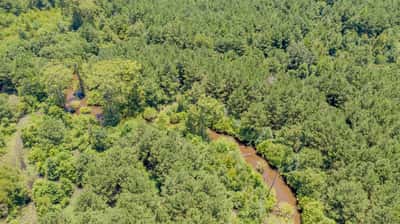 Presswood Lake Tract, Columbia County, AR
